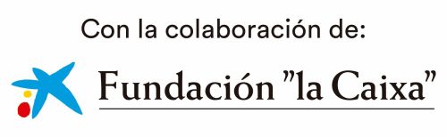 Imagen1